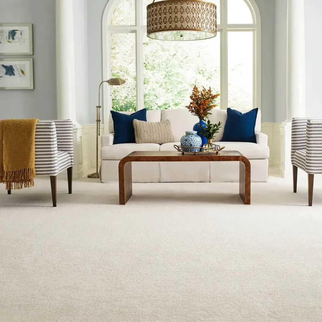 Carpet gallery