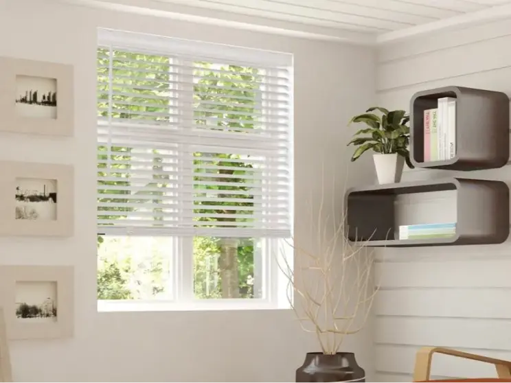 Window with white horizontal blinds and modern floating wall shelves.