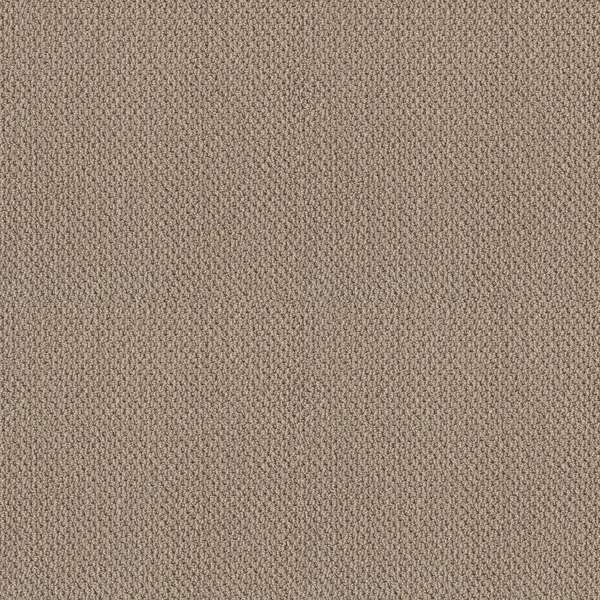 Cup and loop carpet style