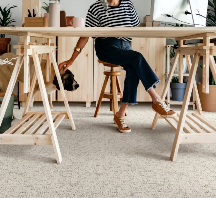 Person at a wooden desk petting a dog on textured carpet flooring.